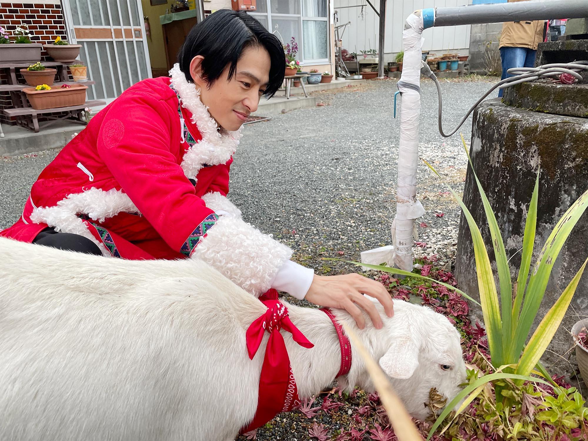 前代未聞⁉ヤギが主役の旅番組！千鳥・大悟がヤギと雑草モグモグ旅