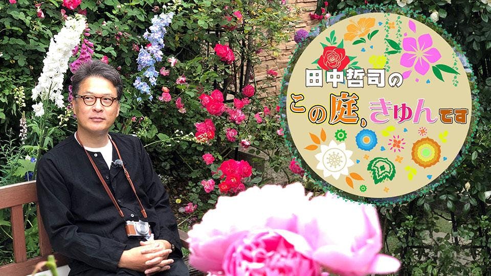 bsテレ東 6月22日 火 夜6時54分放送 田中哲司のこの庭 きゅんです バラ満開 伊豆高原vs東京1000坪 テレ東 リリ速 テレ東リリース最速情報 テレビ東京 bsテレ東 7ch 公式 bsテレ東 6月22日 火 夜6時54分放送 田中哲司のこの庭 きゅんです バラ満開 伊豆高原vs東京1000坪 テレ東 リリ速 テレ東リリース最速情報 テレビ東京 bsテレ東 7ch 公式