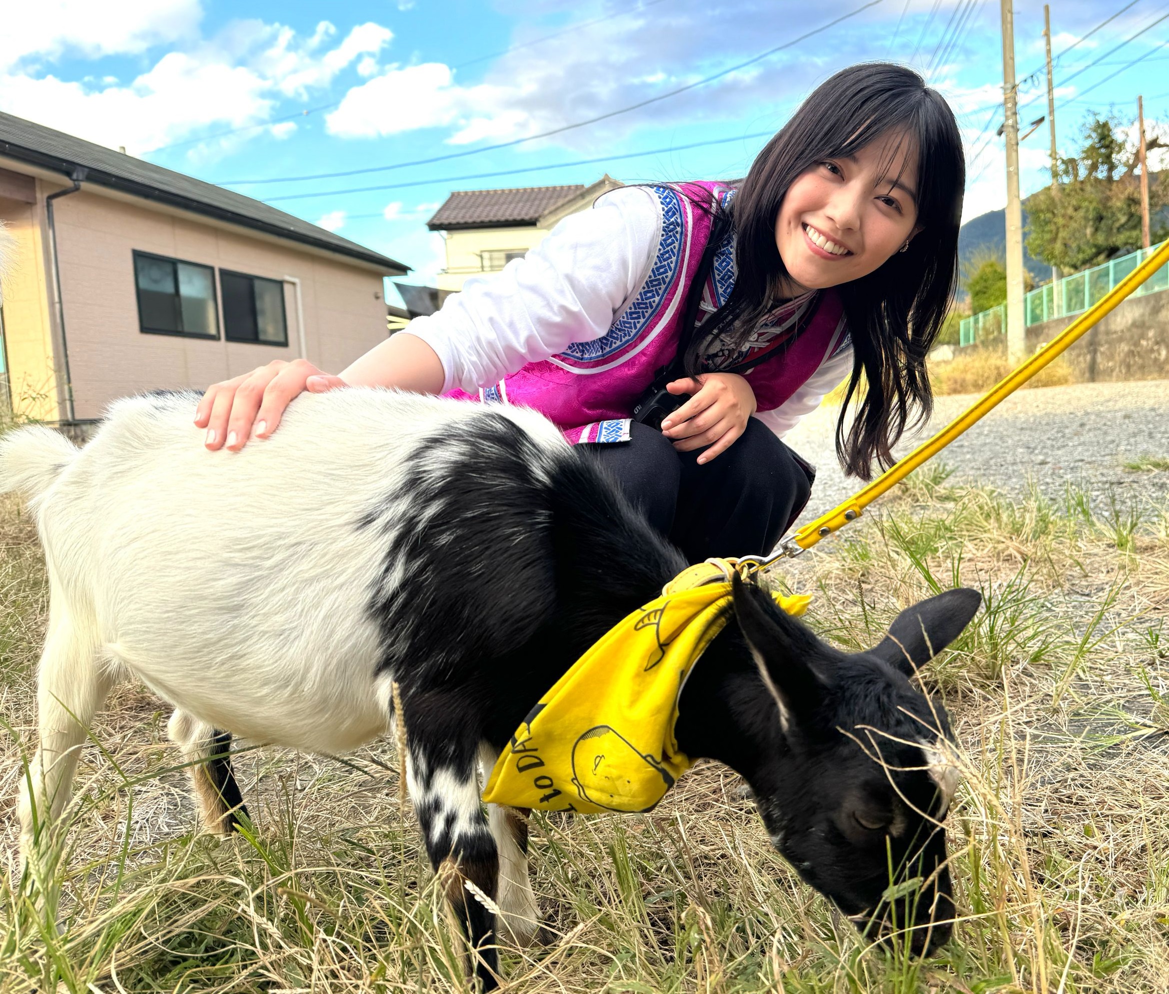 ヤギと大悟】今回のゲスト平愛梨＆西野七瀬が登場！11月10日から4週