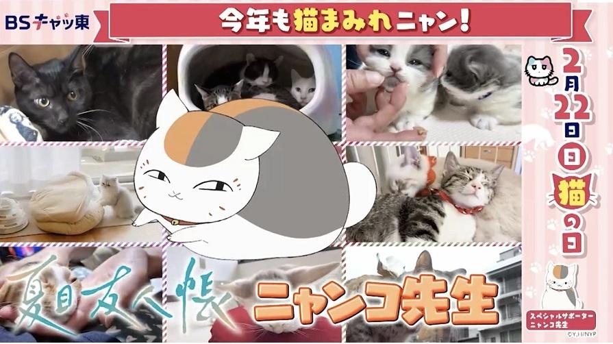 BSキャッ東】「夏目友人帳」のニャンコ先生がナレーションを担当した