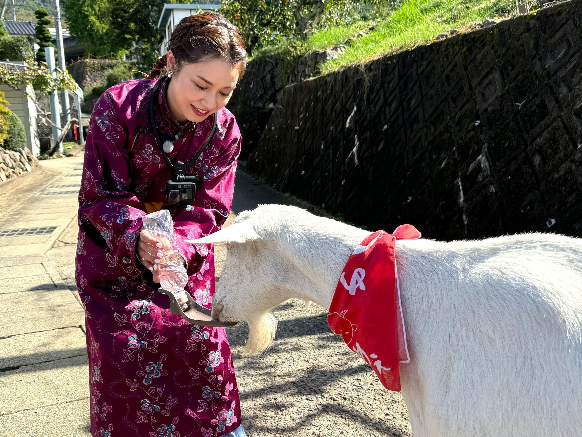 ヤギと大悟】今回のゲスト平愛梨＆西野七瀬が登場！11月10日から4週